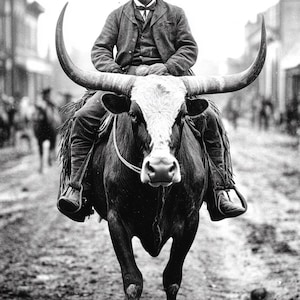 Könnte beinhalten: Ein Mann mit Cowboyhut reitet einen Longhorn-Stier auf einem Feldweg. Der Stier hat lange, gebogene Hörner und einen weißen Fleck auf der Stirn.