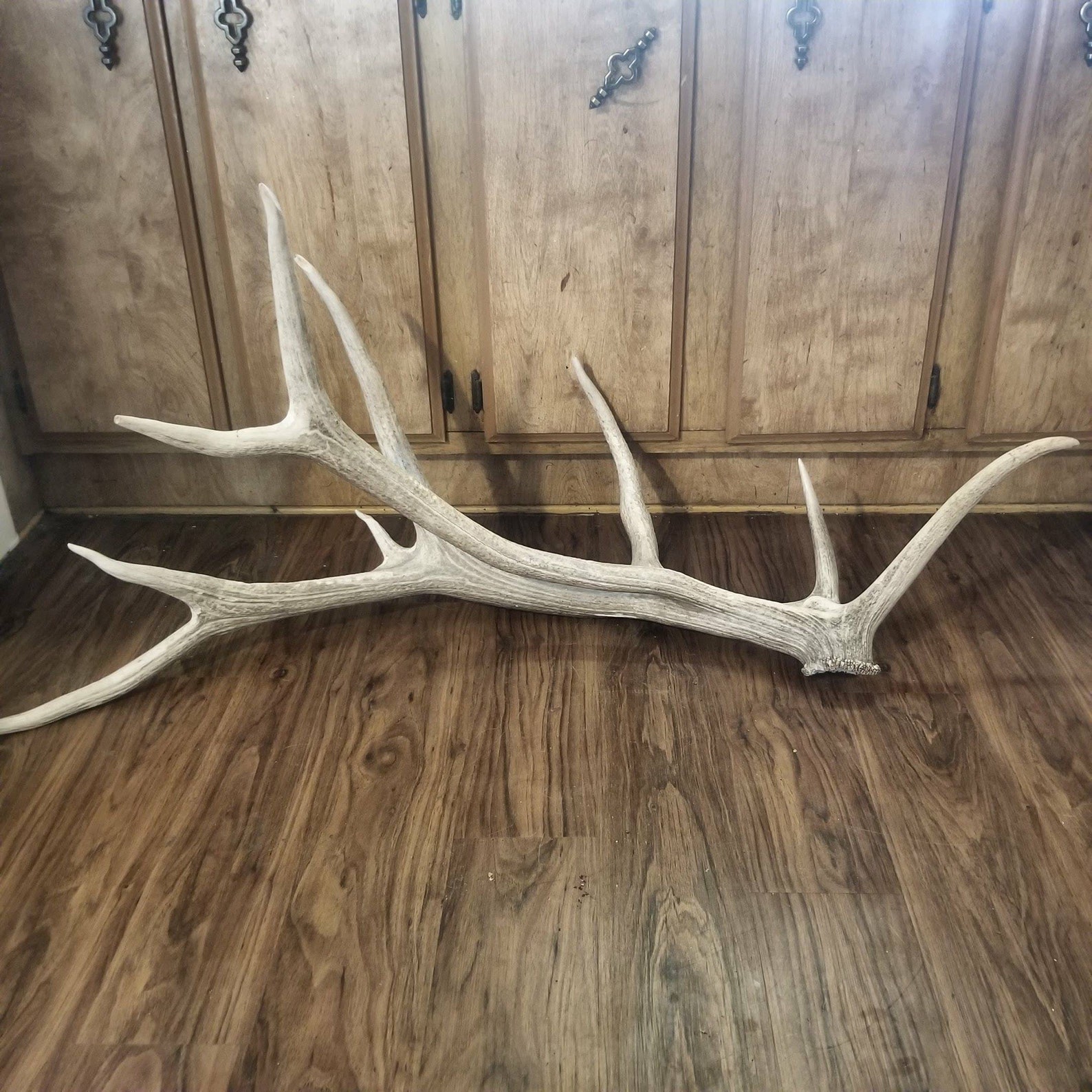 HUGE Real Elk Antler SET NONTYPICAL Shed Antlers Matching Etsy