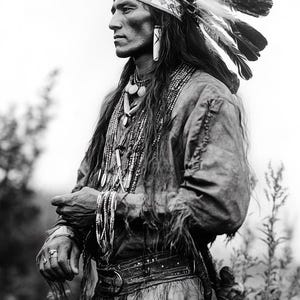 Könnte beinhalten: Ein indianischer Mann trägt ein traditionelles Kopfschmuck mit Federn, eine Perlenkette und eine Fransenlederjacke. Er steht auf einem Feld mit hohem Gras.