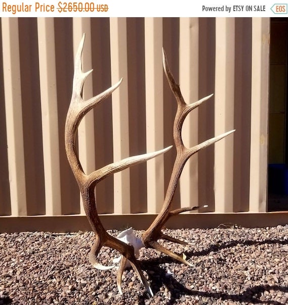 Clear Antlers Sculpture Set