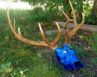 Painted Elk Skull Antler Set, Midnight Moon Stars, Western Decor