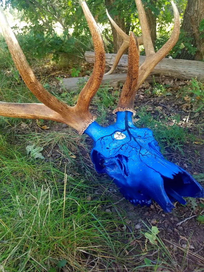 Real Elk Skull Antlers, Antler Set, Painted Skulls, Real Animal Skull