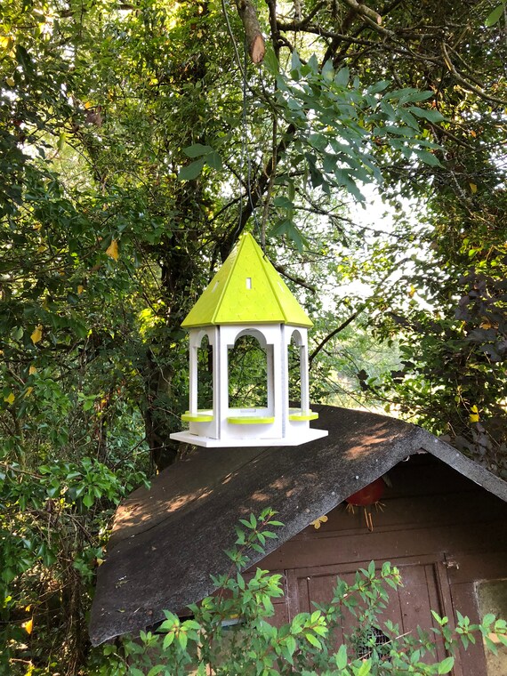 Wooden Model Vermilion Bird Feeder Kit Etsy