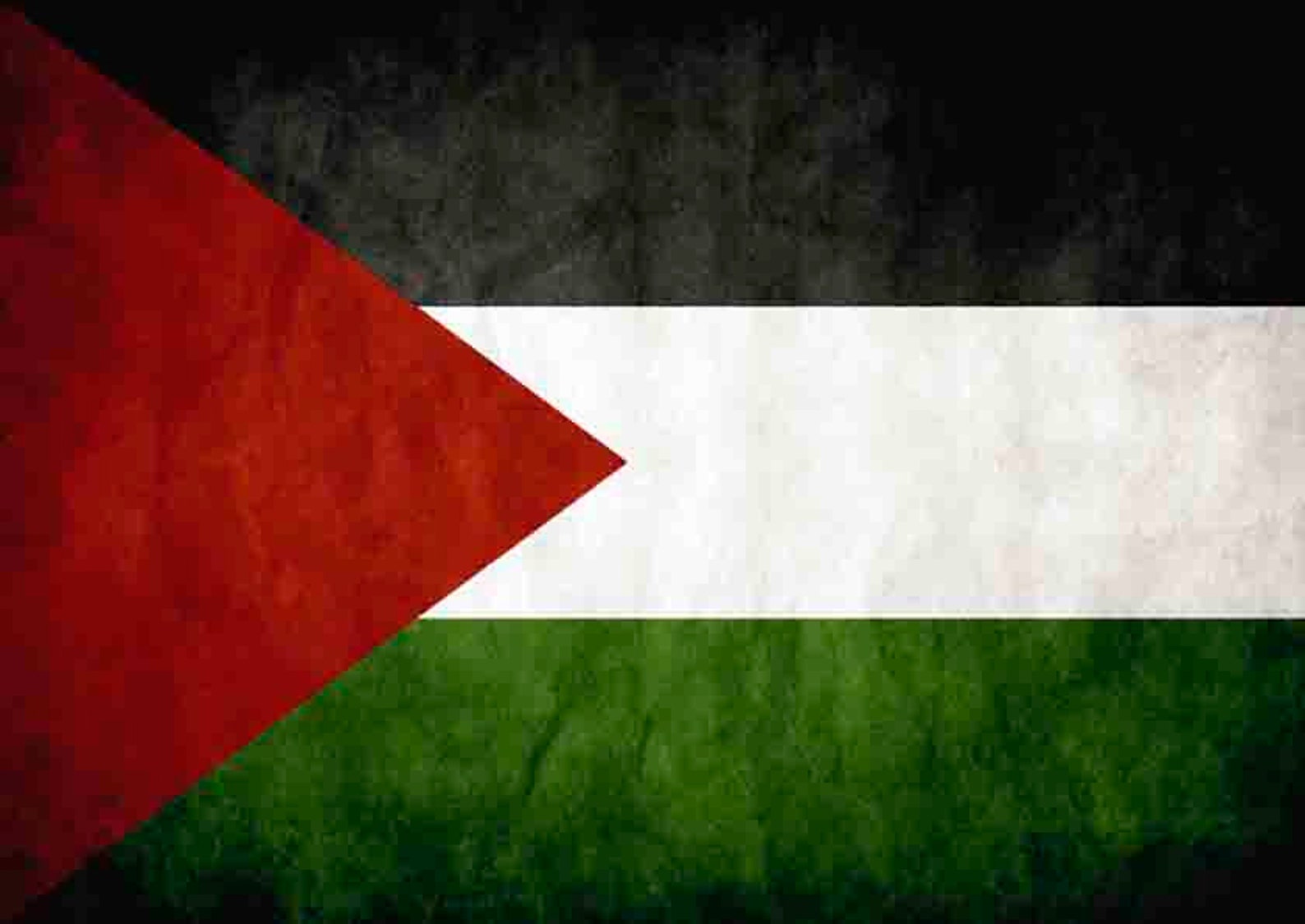 Palestine Canvas Palestine Poster Palestine Flag Art | Etsy
