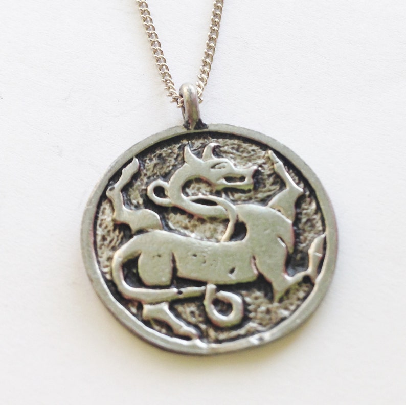 Pu&ograve; includere: Una collana con un ciondolo in argento che presenta un design circolare con un drago o una creatura mitologica stilizzata in rilievo.