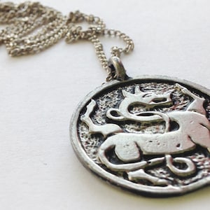 Pu&ograve; includere: Una collana con catena d'argento con un ciondolo rotondo che presenta un design di animale in argento stilizzato e dettagliato.
