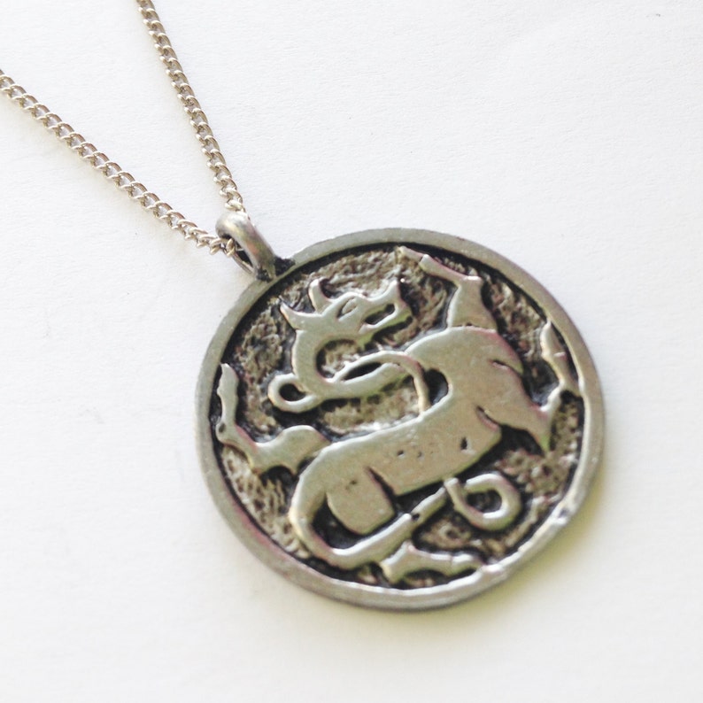 Pu&ograve; includere: Una collana d'argento con un ciondolo rotondo che presenta un'immagine stilizzata e dettagliata di una creatura mitologica. Il ciondolo &egrave; attaccato a una catena d'argento.