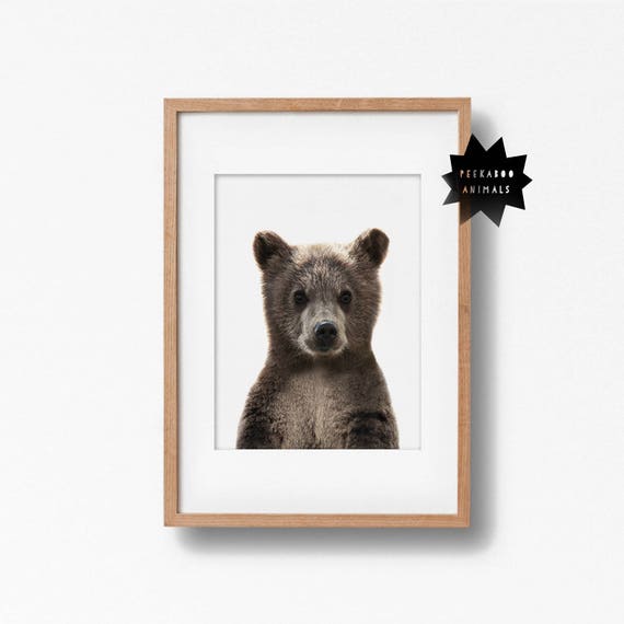 baby bear nursery decor