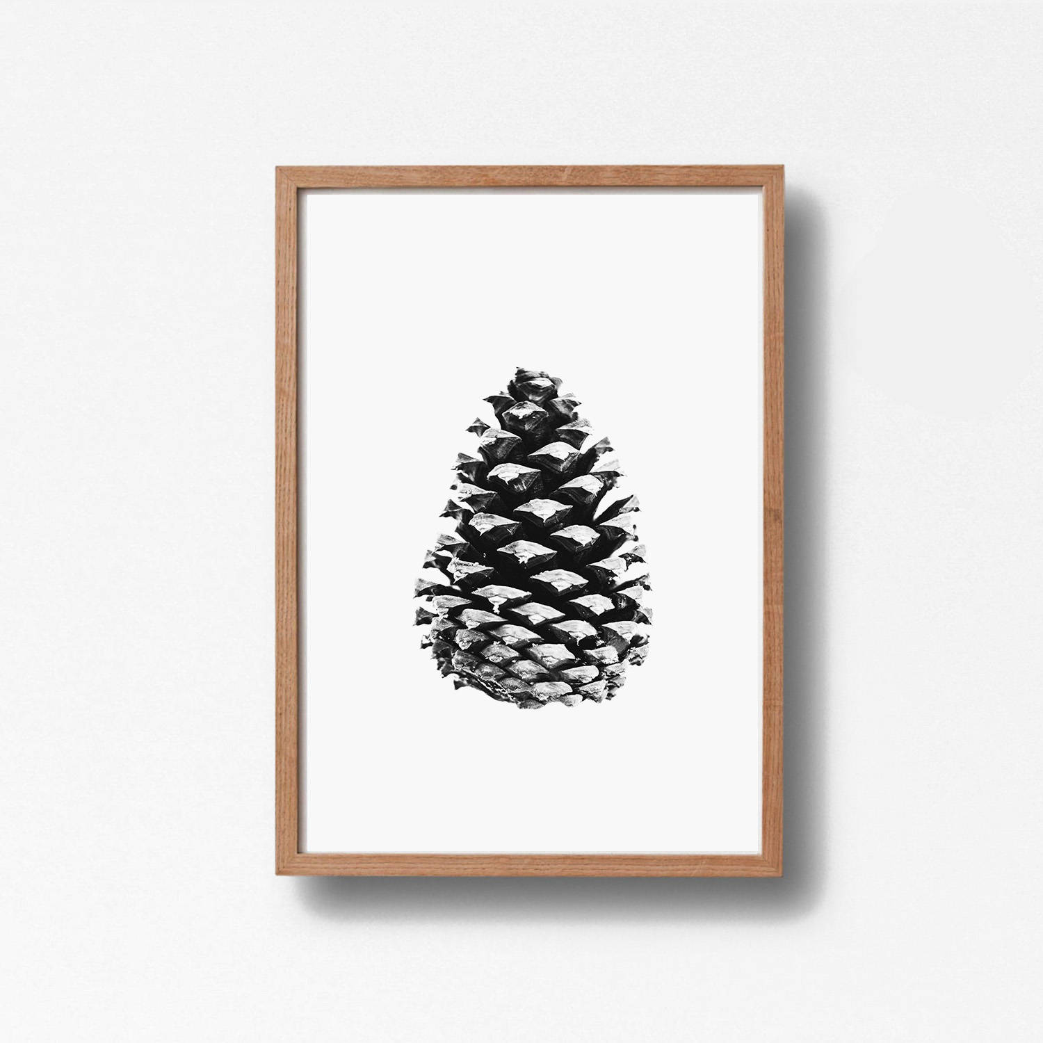 постер сосна