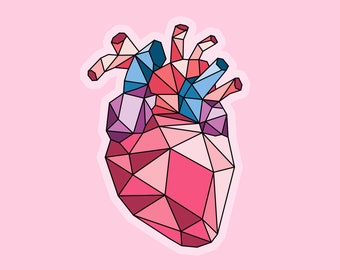 Geometric Heart Sticker - 3 Inch Transparent Vinyl Weatherproof Sticker - Anatomic Heart Design