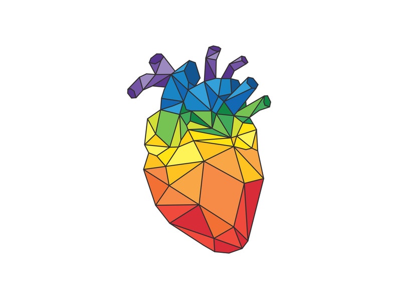 Anatomic Heart Sticker Geometric Rainbow Heart Decal 3-Inch Vinyl Weatherproof Sticker image 1