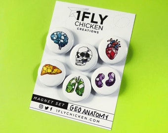 Anatomie Magnete oder Pin - 2,5 cm geometrische bunte handgemachte Knöpfe - kleines Geschenk einzigartige Locker Magnete - Anatomie Kunst - 6er Set