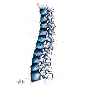 Spine Art - Watercolor and Ink Anatomy Art - Back Vertebrae Wall Art for Chiropractor, Neuro, Physical Therapist - Unique Gift