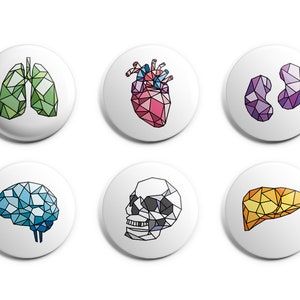 Puede incluir: Seis botones redondos blancos con diferentes órganos humanos representados en un estilo geométrico. Los órganos son los pulmones, el corazón, los riñones, el cerebro, el cráneo y el hígado. Los órganos son todos de diferentes colores.