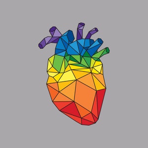 Anatomic Heart Sticker Geometric Rainbow Heart Decal 3-Inch Vinyl Weatherproof Sticker image 5