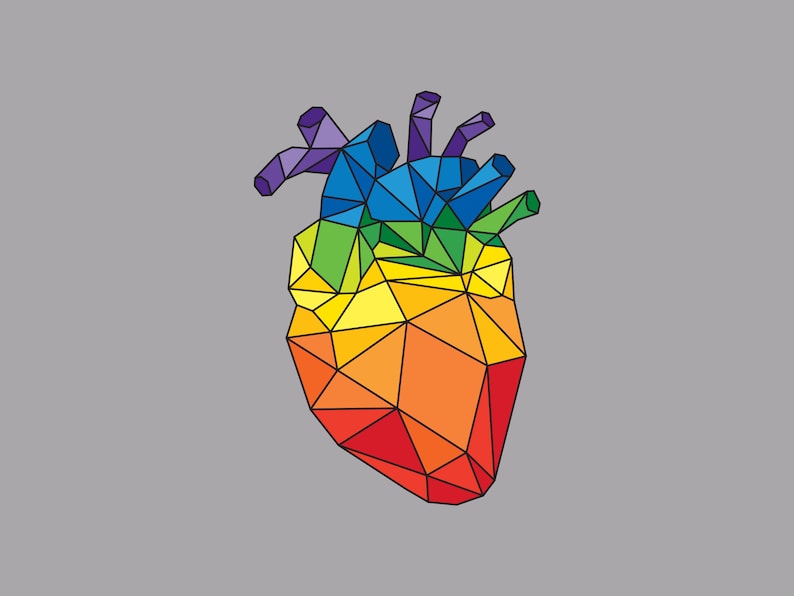 Anatomic Heart Sticker Geometric Rainbow Heart Decal 3-Inch Vinyl Weatherproof Sticker image 5