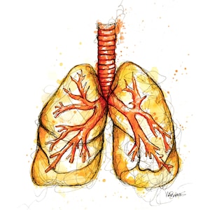Lungs Painting - Watercolor + Ink Lungs - Giclée Art Print - Unique Anatomy Painting - Lungs Gift - Orange Yellow Anatomy Wall Art