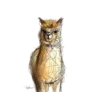 Printable Llama Card Instant Download Alpaca Art Printable Llama Notecard for All Occasions Cute Animal Note image 2