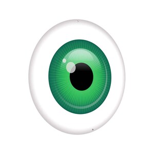 May include: A cartoon eyeball with a green iris and a black pupil. The eyeball is surrounded by a white sclera.