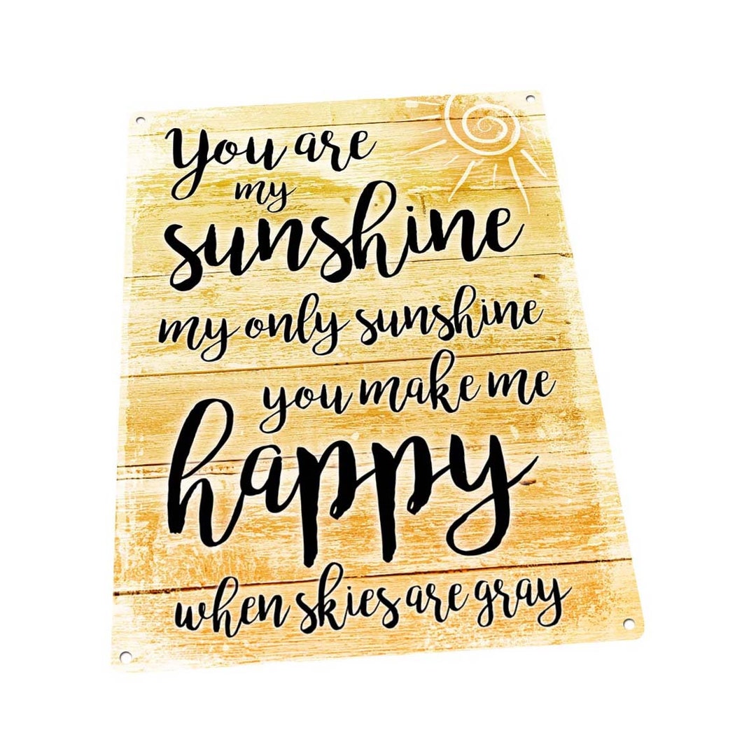 You Are My Sunshine Metal Sign Wall Decor for Office or Etsy