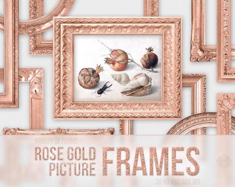 Rose Gold Ornate Picture Frames Digital Clipart Of 30 Round Etsy