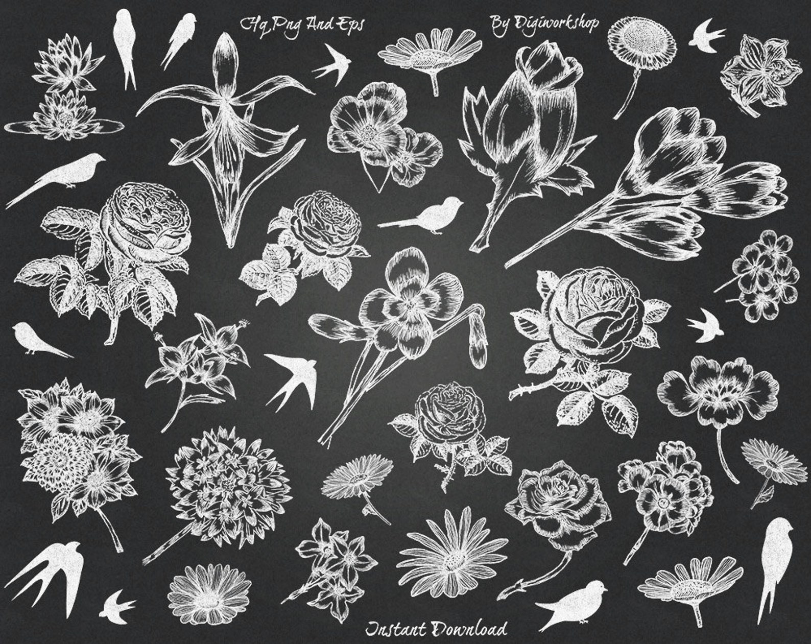 Chalkboard Flower Clip Art Clipart Chalkboard Etsy