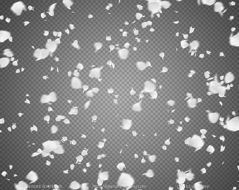 White letters numbers of rose petals confetti overlays | Etsy