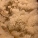 Moonshine!  White Romeldale Wool
