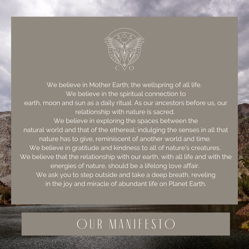 Dried Elder Flower Elderberry Blossom Dry Elderberry Flowers Etsy