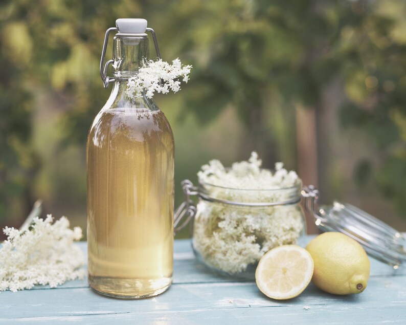 Dried Elder Flower Elderberry Blossom Dry Elderberry Flowers Etsy