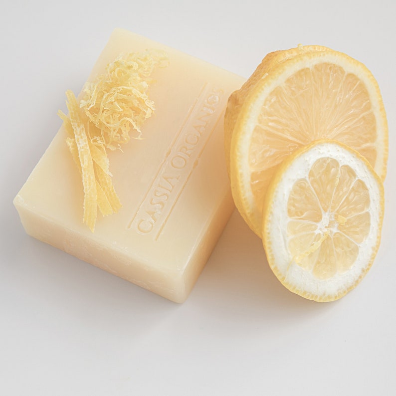 4Pack Dish Soap Bar Vegan Kitchen Soap Laundry Soap Bar Etsy