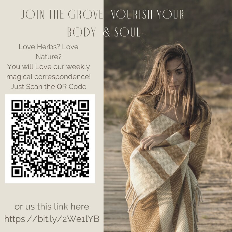 Dried Elder Flower Elderberry Blossom Dry Elderberry Flowers Etsy