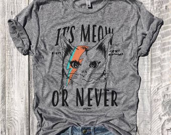 It's MEOW Or NEVER...Unisex Heather Grey Triblend Tee, Ziggy Stardust, David Bowie, Cat Lady, Funny Tee,Funny Shirt,Workout Tee, Size Down