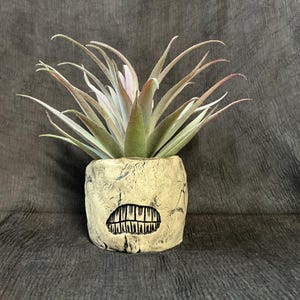 May include: A small, beige ceramic planter with a carved mouth design, holding a green and pink air plant. The planter has a textured surface and a unique, artistic aesthetic. Perfect for adding a touch of whimsy to any space.