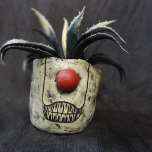 May include: A unique, handmade ceramic planter with a clown-like face design. The planter features a red nose, a grinning mouth, and a textured, off-white finish. It holds a spiky, dark green and cream-colored plant.
