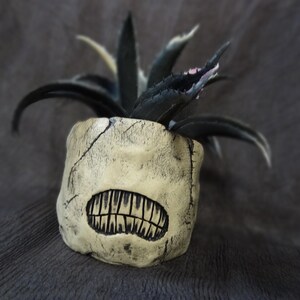 May include: A unique, handmade ceramic planter with a carved face design, featuring a wide, toothy grin. The off-white pot holds a dark green succulent with spiky leaves. The planter is a decorative item for home decor.