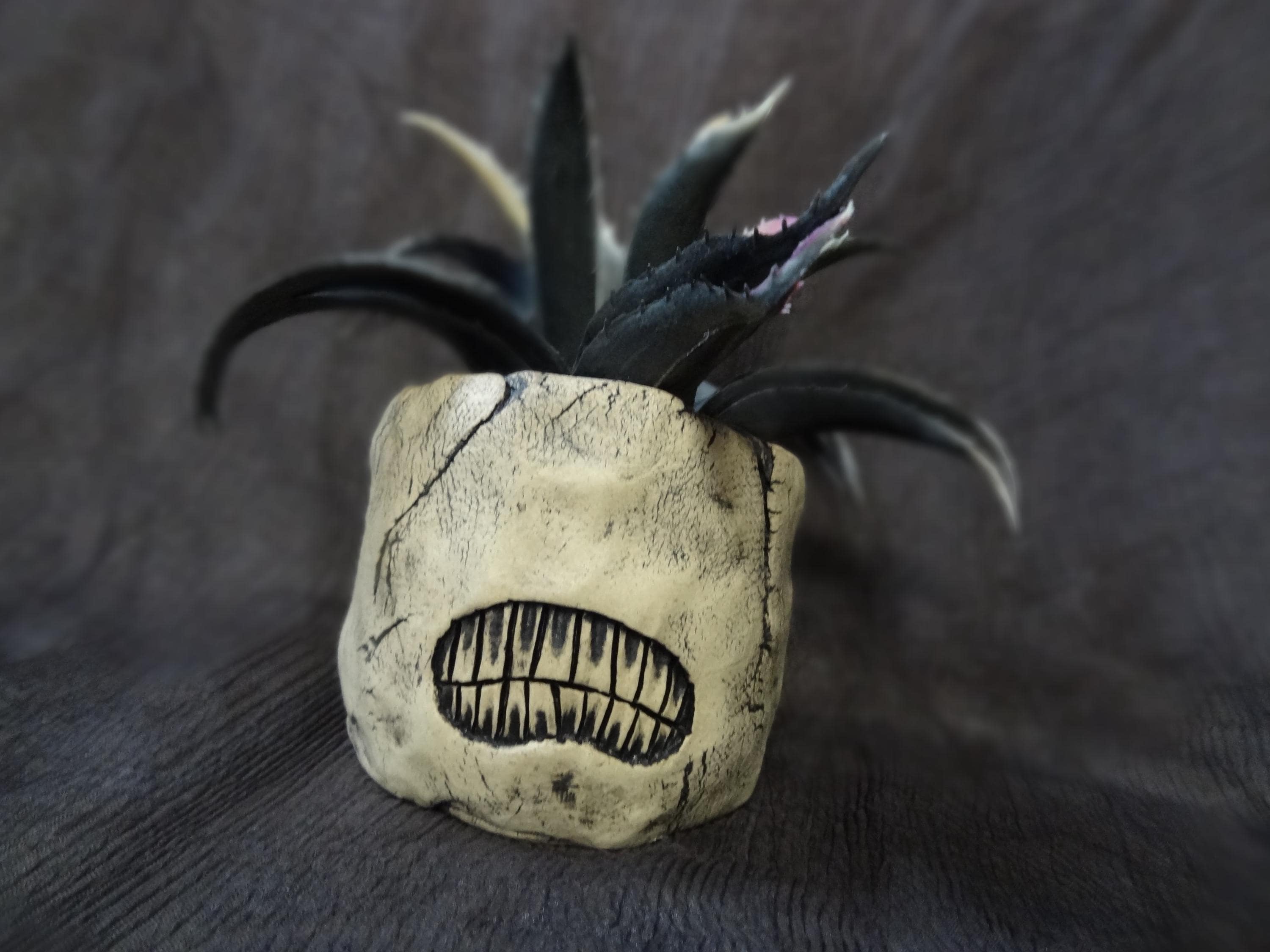 Small Weird Planter with Teeth - Great for an Air Plant or Small Succulent! product image