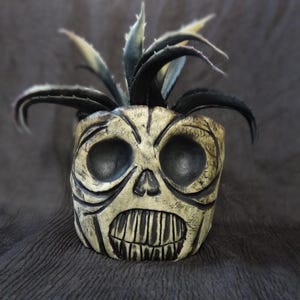 May include: A decorative skull-shaped planter with a plant. The planter is beige with black detailing, featuring a carved skull face with large eye sockets and a toothy grin. The plant has dark green and yellow-green leaves.