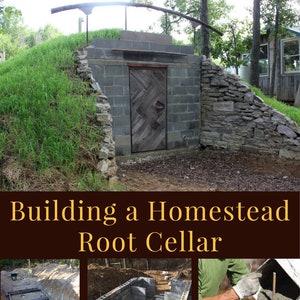 Building a Homestead Root Cellar eBook