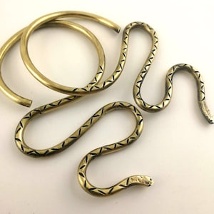 Snake Ear Weights Snake Hoops image 1