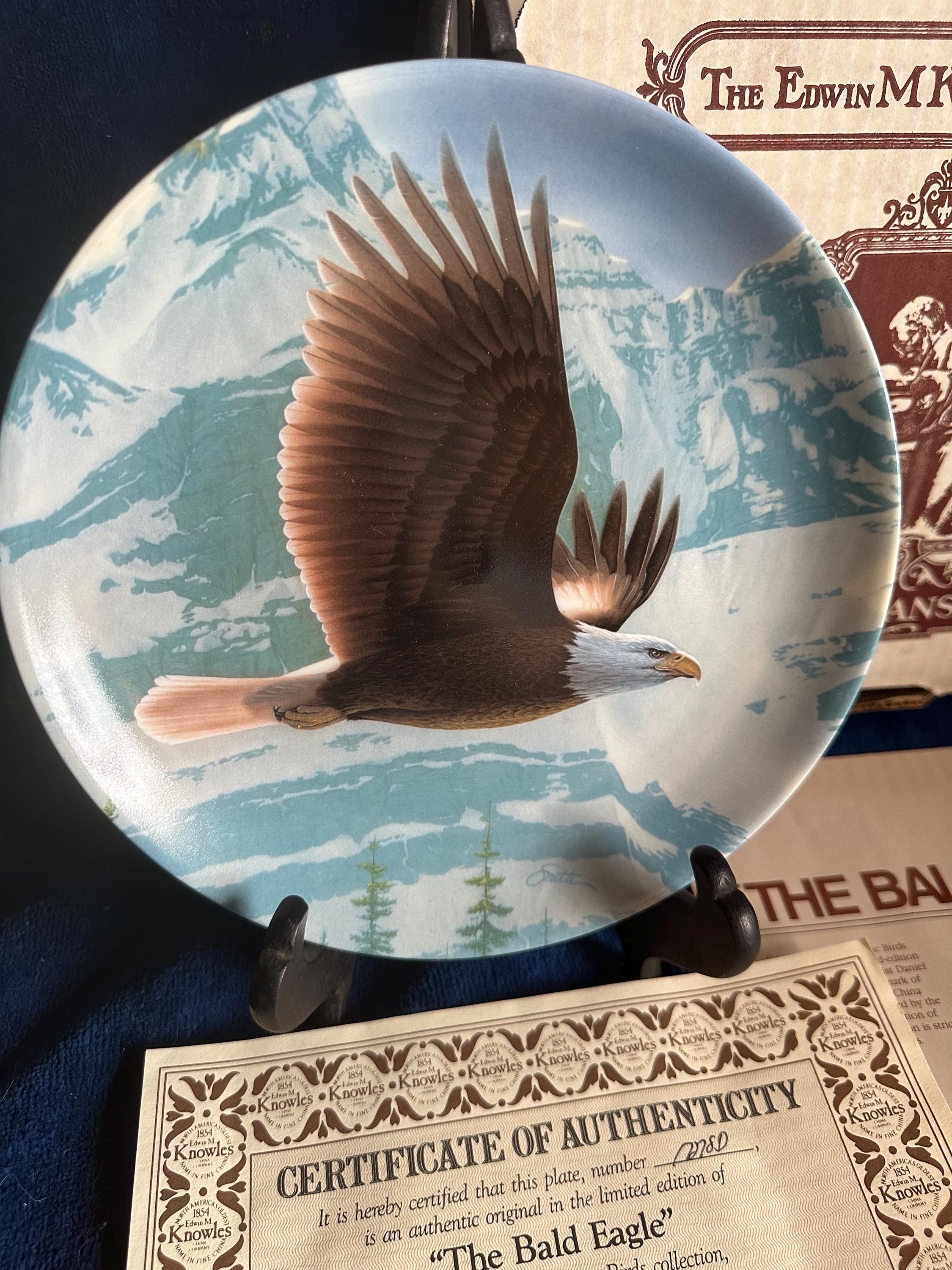 Birds of Prey Plates - Etsy