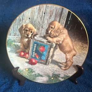 Jim Lamb “Double Take” 1st Ausgabe Puppy Playtime Series Collector Plate 1987 Cocker Spaniel Puppies Wandbehang ODER “Catch of the Day” Teller