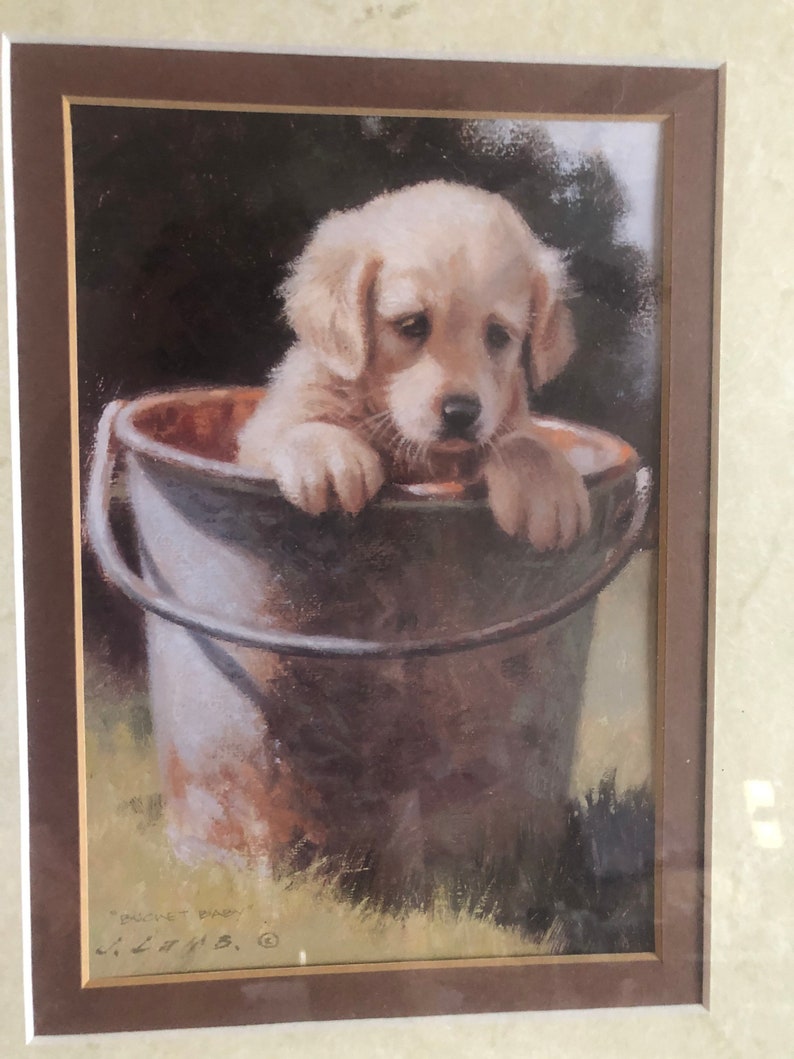 Jim Lamb Art Print bucket Baby Signed Golden Retriever Puppy Print Matted & Framed Dog Lover