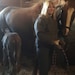 Owner of <a href='https://www.etsy.com/shop/shezashowgirl?ref=l2-about-shopname&from_page=listing' class='wt-text-link'>shezashowgirl</a>