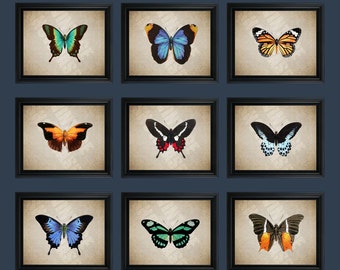 Retro Butterfly Art Print-Papillon Butterfly Print-motyle-ilustracja naukowa-Wall art-wystrój wnętrz-sztuka owadów #COL-003