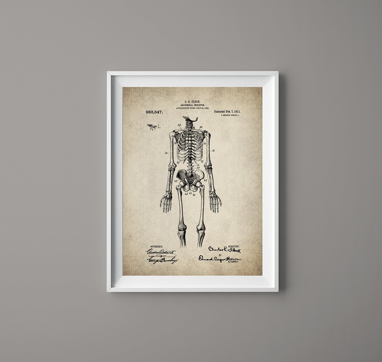 Vintage Human Anatomy Medical Poster Skeleton Patent Print - Etsy Ireland