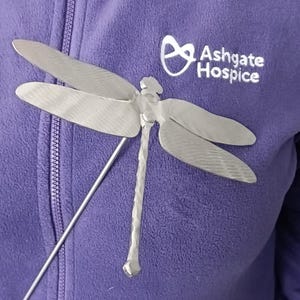 Eine Liebesbotschaft für deine Libelle