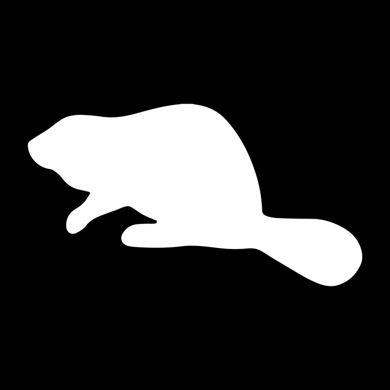 Beaver Digital Vector Cut Download Svg Png - Etsy