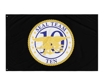 Team 10 Flag
