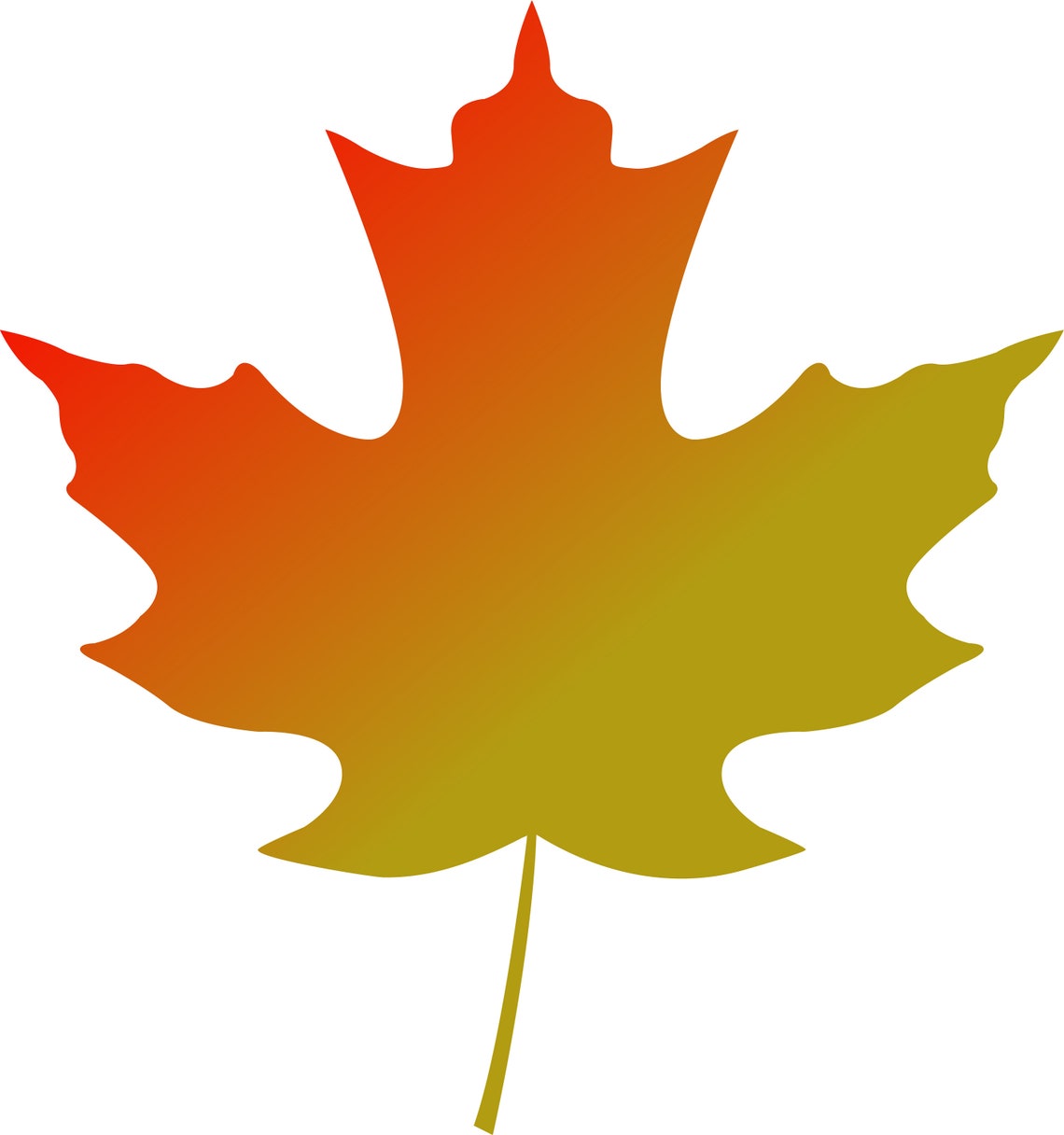 Sugar Maple Leaf Digital Vector Cut Download Svg Png - Etsy